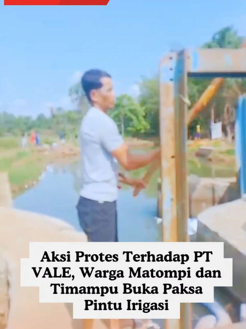 Warga Matompi dan Timampu, Kecamatan Towuti, Luwu Timur mengaku kecewa dengan PT  Vale Indonesia. Akibatnya, warga membuka paksa bendungan saluran irigasi karena merasa kecewa dengan janji PT Vale  serta Kompensasi yang dianggap tidak adil. Kamis 16/10/25. Tak hanya bendungan irigasi, buntut kekecawaan warga ke PT Vale ini berujung pada pembongkaran oil slick bar (oil boom) yang sebelumnya di pasang oleh pihak perusahaan.  #PTVale #pipabocor #pencemaran #towuti #luwutimur 