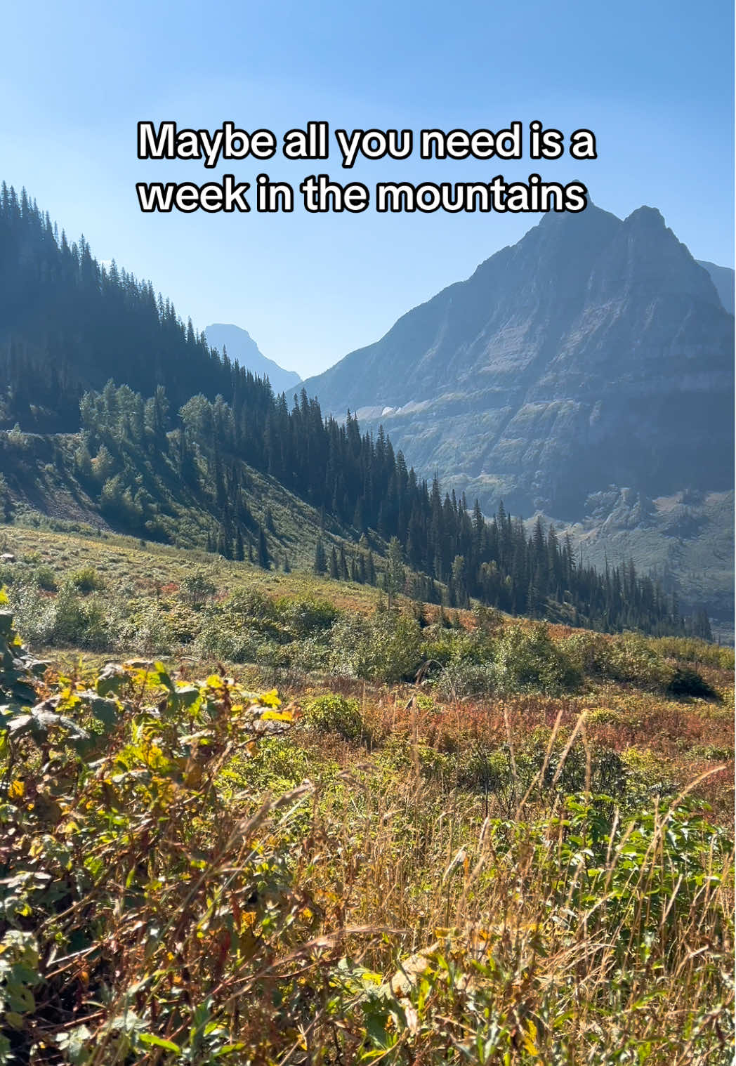 #mountains #naturevibes #glaciernationalpark #fypシ #nature 