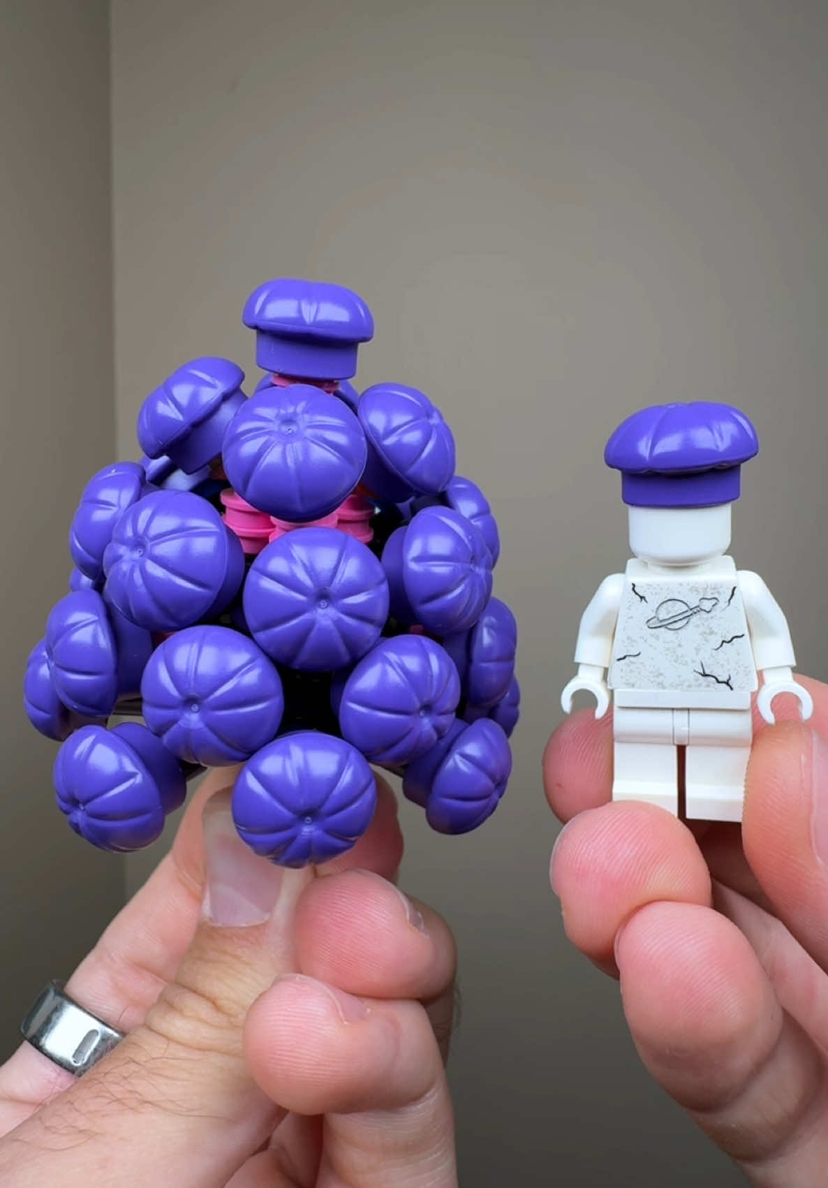 LEGO's Problem With Their Latest OVERPRICED Set 🙁🐠 #gifted #rlfm #review #10366 