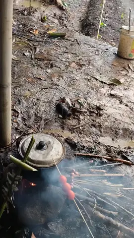 Liwet di kebon #cabai #petanimuda #foryoupage #foryou 