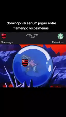 domingo vai ser um jogão entre flamengo vs palmeiras  #fyviralvideo #flamengo #palmeiras #brasileirao #foryoupage 