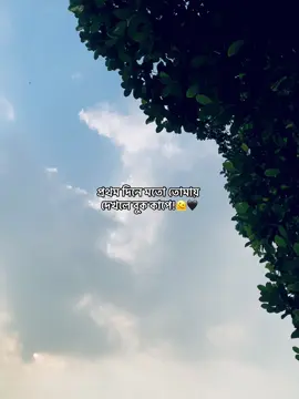 তোমার হই কি ভাই??😗😵‍💫#aponislam2910 #foryou #foryoupage #vira #viralvideo @TikTok Bangladesh @TikTok 