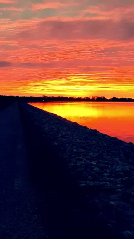 #chasingthesunrise #nickleback #savingme 