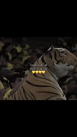 #العميد🔥💛 #الاتحاد #العميد #الاتي_ولع🔥 #العميد🔥💛 @نادي الاتحاد | Al-Ittihad FC 