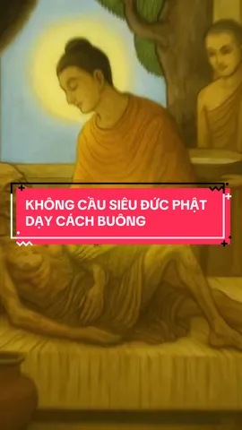 KHÔNG CẦU SIÊU ĐỨC PHẬT DẠY CÁCH BUÔNG #phatphap #hocphat #phatgiao #buddha #tutaptaigia 