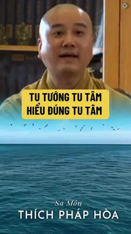 Hiểu đúng về tu tâm.50 bài giảng về chuyển hoá của Thầy Pháp Hoà thu gom lại thành cuốn sách Con Đường Chuyển Hoá #conduongchuyenhoa #books #tutap #thichphaphoa #nguyennguoiann 