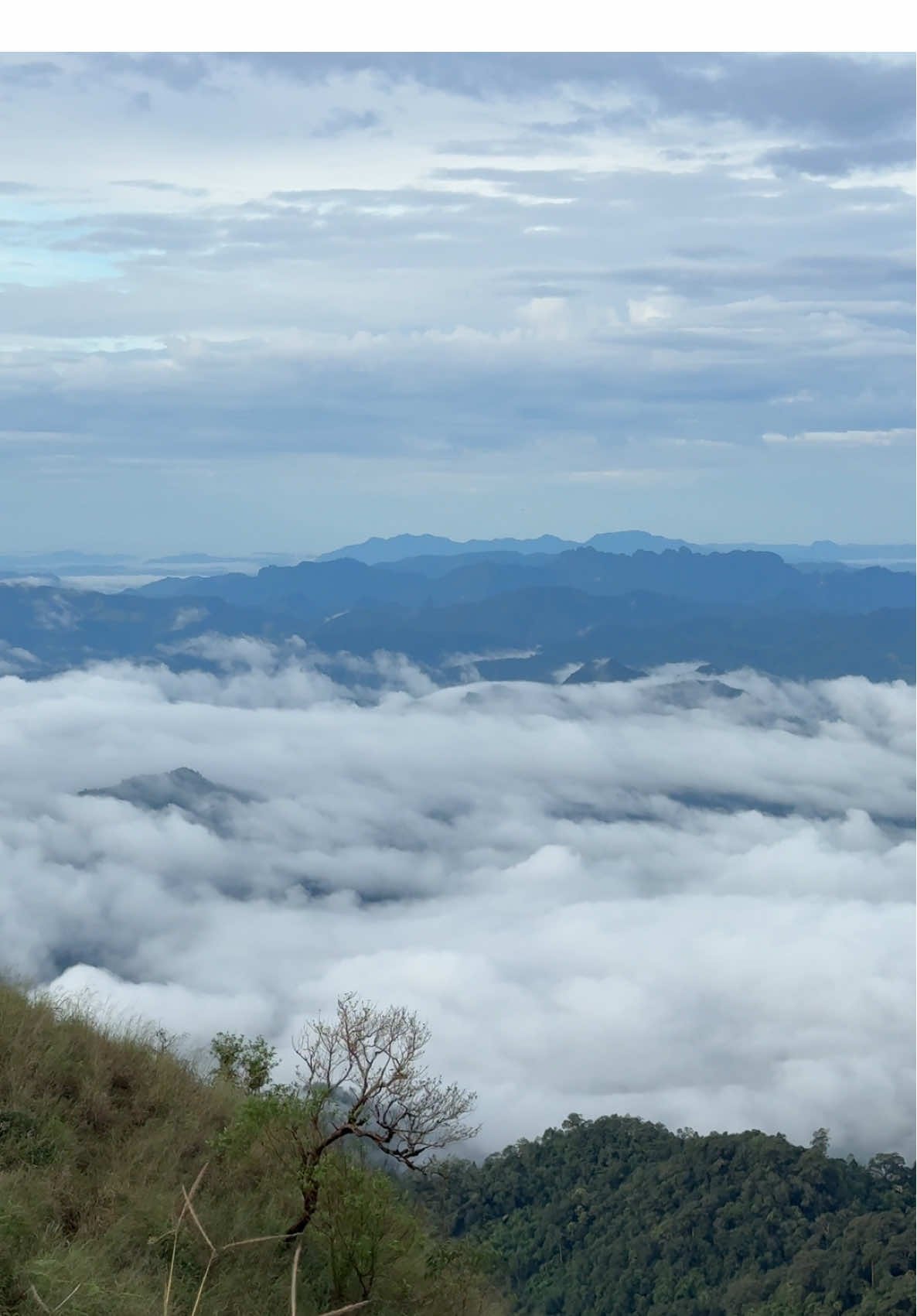 ยอดดอยทูเลในวันที่ฟ้าเปิด🌧️🍃⛰️#เดินป่า #เดินป่าไทย #ดอยทูเล #จอวาเล 