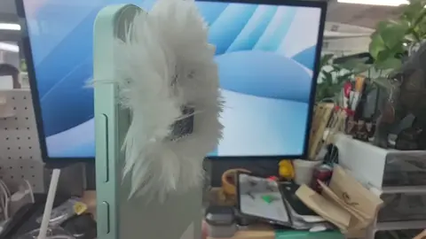Quái vật Realme GT8 Pro 🤣🤣🤣 #zhenghemyth 