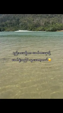 တကယ်တော့ မရလို့ပါ🥹#fypシ゚ #fyp #livephoto #tiktok #tiktokmyanmar 