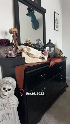 #onthisday #katyscabinetofcuriosities 