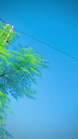 kotra ba she kotra  @Jawadyaranyar1 #tordher king#fawadk444 #foryoupage #viral video #unfreezmyaccount 