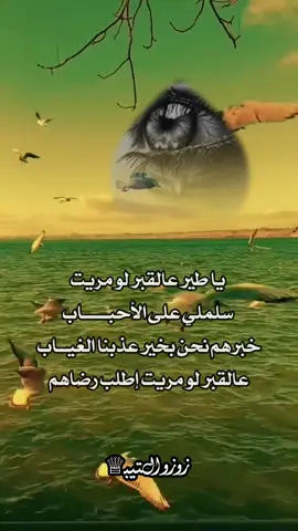 #مالي_خلق_احط_هاشتاقات  #creatorsearchinsights  #زوزو_ال؏ـــتـــيـــبـــى♕💕  #ياطير_عالقبر_لو_مريت🕊😭 