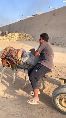 @باقر الطرفي🦅 