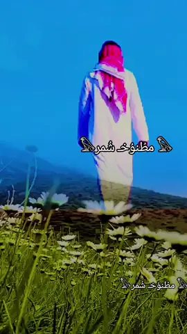 #اكسبلور_تيك_توك 