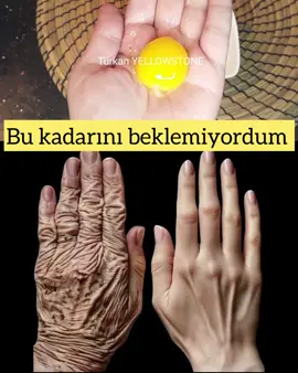 100 Yıllık Tarif Bir Yumurta Sarısı ile Kırışıklıklarımdan Kurtuldum