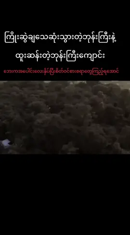 #ရောက်ချင်တဲ့နေရာရောက်👌 #သရဲ #ဒီညလာမယ် 