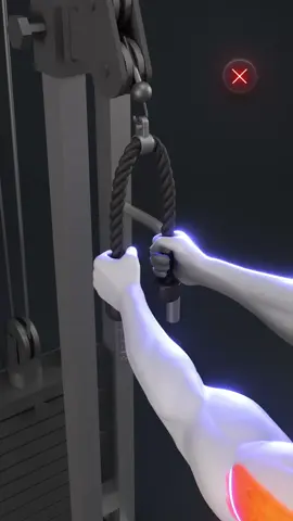 💪 Rear Delt Face Pull — Quick Tips for Perfect Form