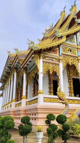 #วัดต้นผึ้ง #ลําพูน #ฮาวทูtiktok #thailand #เพชรบูรณ์ 