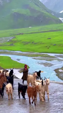 #Beautifull #video #explorepage #viral #tiktok 