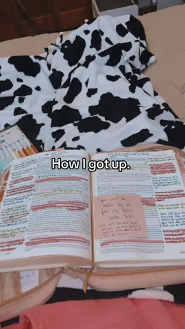 You NEED Jesus!! 🙌🙌 #readyourbible #jesuslover #christiantiktok #biblestudy #anxiety 