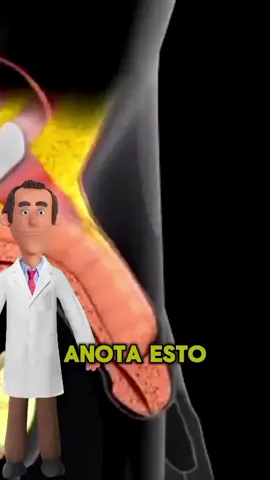💥MIRA EN BIO💥 #altura #evolución #videosvirales #fy 