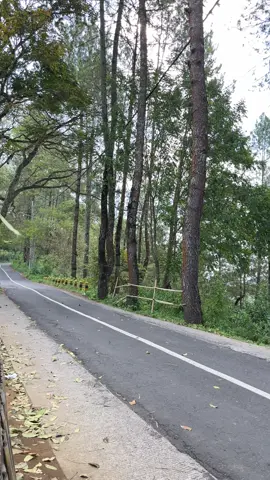 #fyp#kopijowo#poncokusumo#gubuklakah#fyppppppppppppppppppppppp 