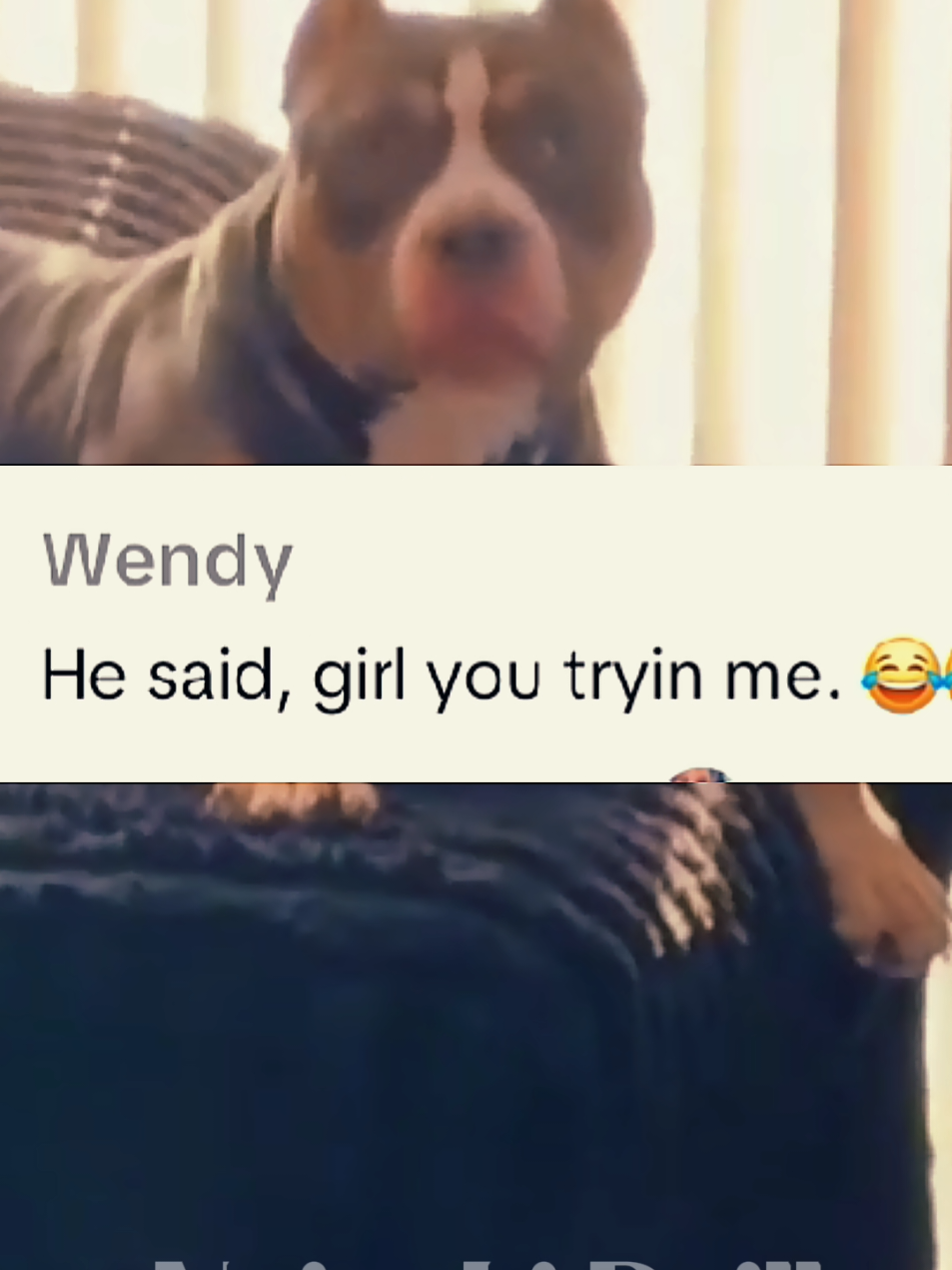 Be displined 😂😂#viralreels #tiktokcomments #reels #fyp #viral 