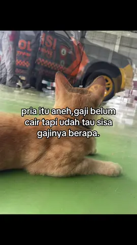 #sadvibes #fyp #fyppppppppppppppppppppppp #story 