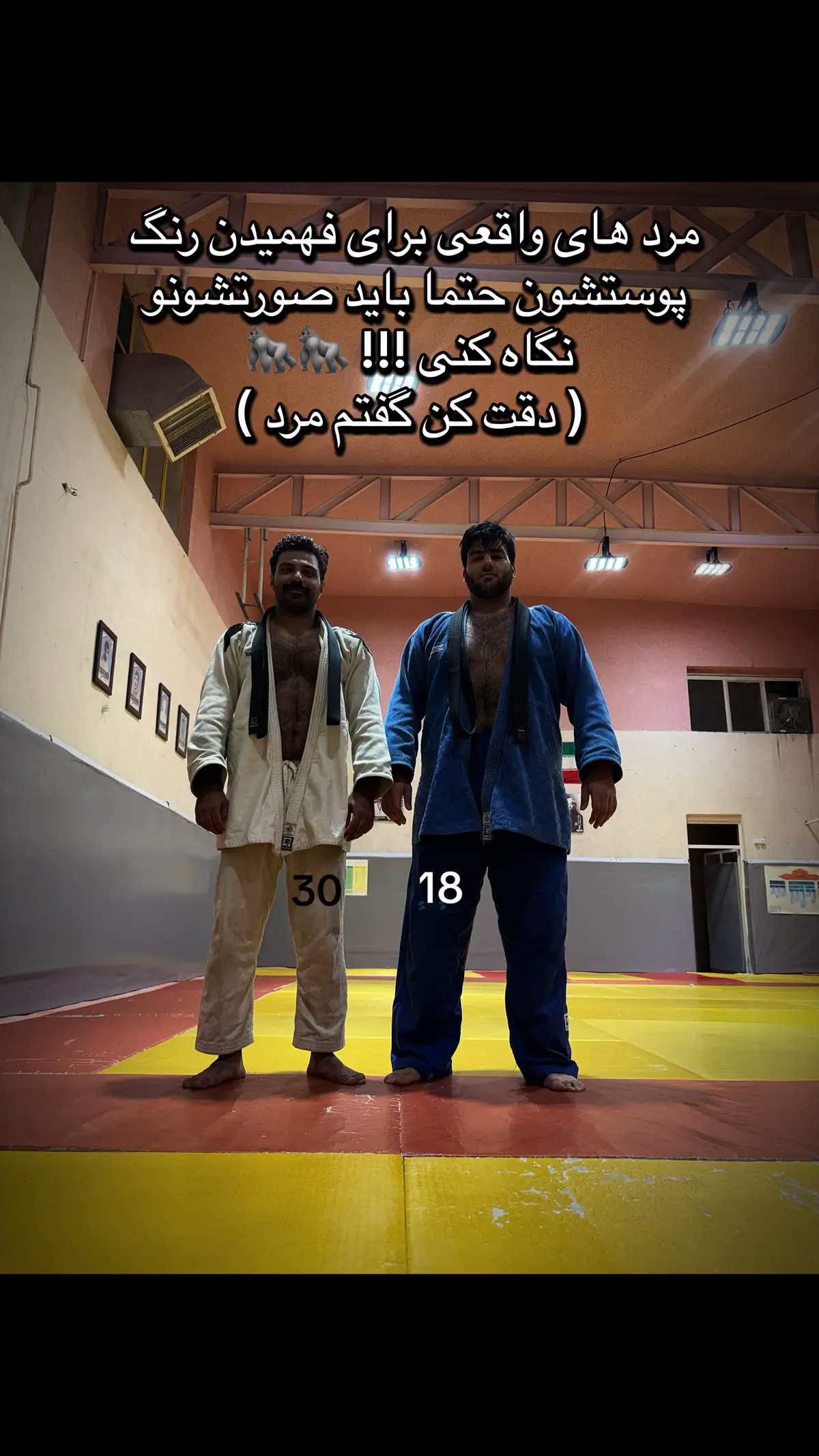#فوريو 