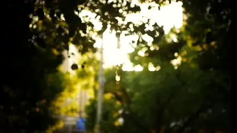 Có người nói rằng đừng yêu một người khi bạn mười sáu, mười bảy tuổi, vì đó là điều bạn yêu nhất nhưng không thể có được. Nhưng chính bạn cũng hiểu được rằng, tình yêu năm ấy đơn thuần và đẹp đẽ đến mức nào.