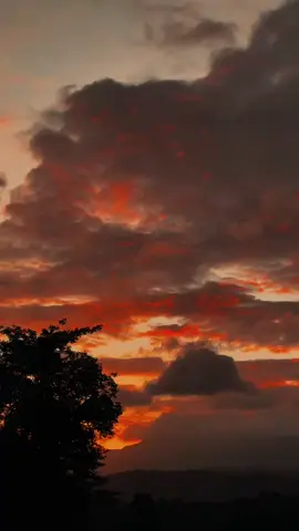 💗🌝🍃#fyppppppppppppppppppppppppppppppppppppp  #viraltiktok #foryou #CapCut #status #srilanka 