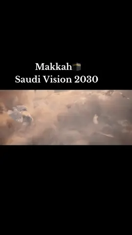 His Royal Highness the Crown Prince Mohammed bin Salman has launched the King Salman Gate Project — a massive 12 million sq. m. development next to the Grand Mosque in Makkah. ... The project will enhance infrastructure and services for pilgrims, accommodate around 900,000 worshippers, and create over 300,000 jobs by 2036, aligning with Saudi Vision 2030. It will combine Makkah's heritage with modern design, featuring residential, cultural, and service facilities connected by public transport.