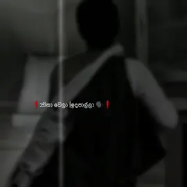 හිතන්න එපා.!😅 #1millionaudition  #trend  #viralvideo  #stetas_vidiyo  #100k 