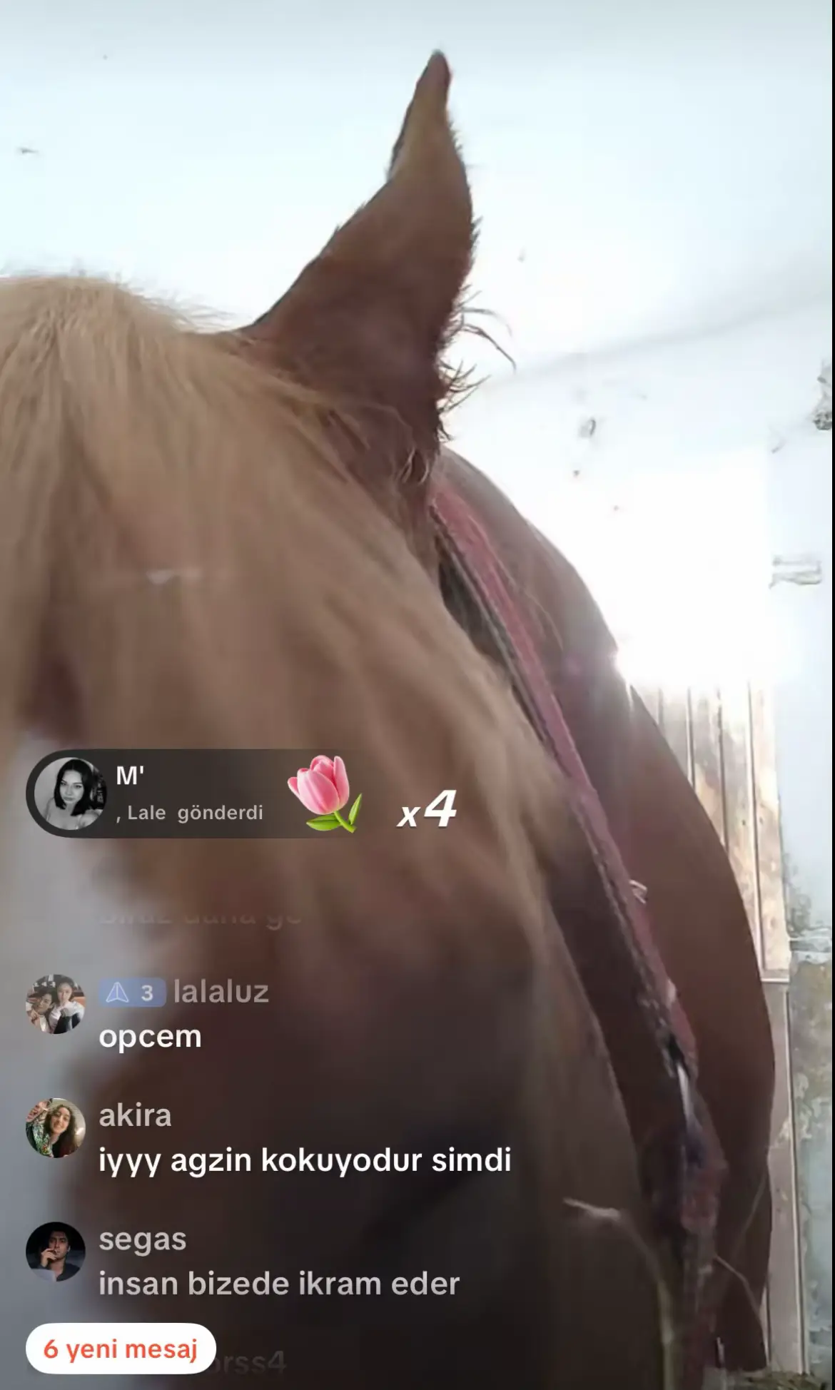 at asmr #at #asmr #yemek #fypシ゚ #chat @öz Tatmar 