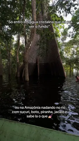 Vivendo o extraordinário 😂 #florestaamazonica #amazonia 