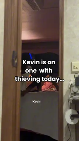 Just another day in paradise with Kevin 😌😂 #crazydog #funnypets #singlemom #chronicillness #dogsoftiktok 