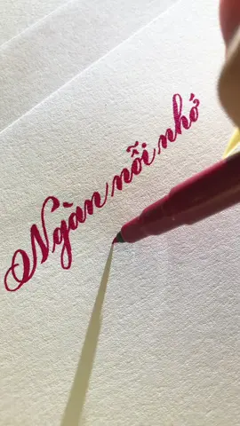 #calligraphy #calligraphywriting #hoainiem090 #handwritingchallenge #hoainiem8x9x 