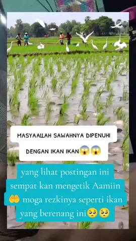 #fyppppppppppppppppppppppp #contencreator #trending 