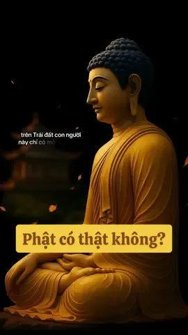 #PhatPhapNhiemMau #loiphatday🙏 #tutamhuongthien #phước #luatnhanqua 
