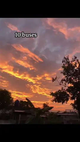 #fyp #busesecuador🇪🇨 #balzarcity💚🍀 #busologos❤️✨🚌💨 