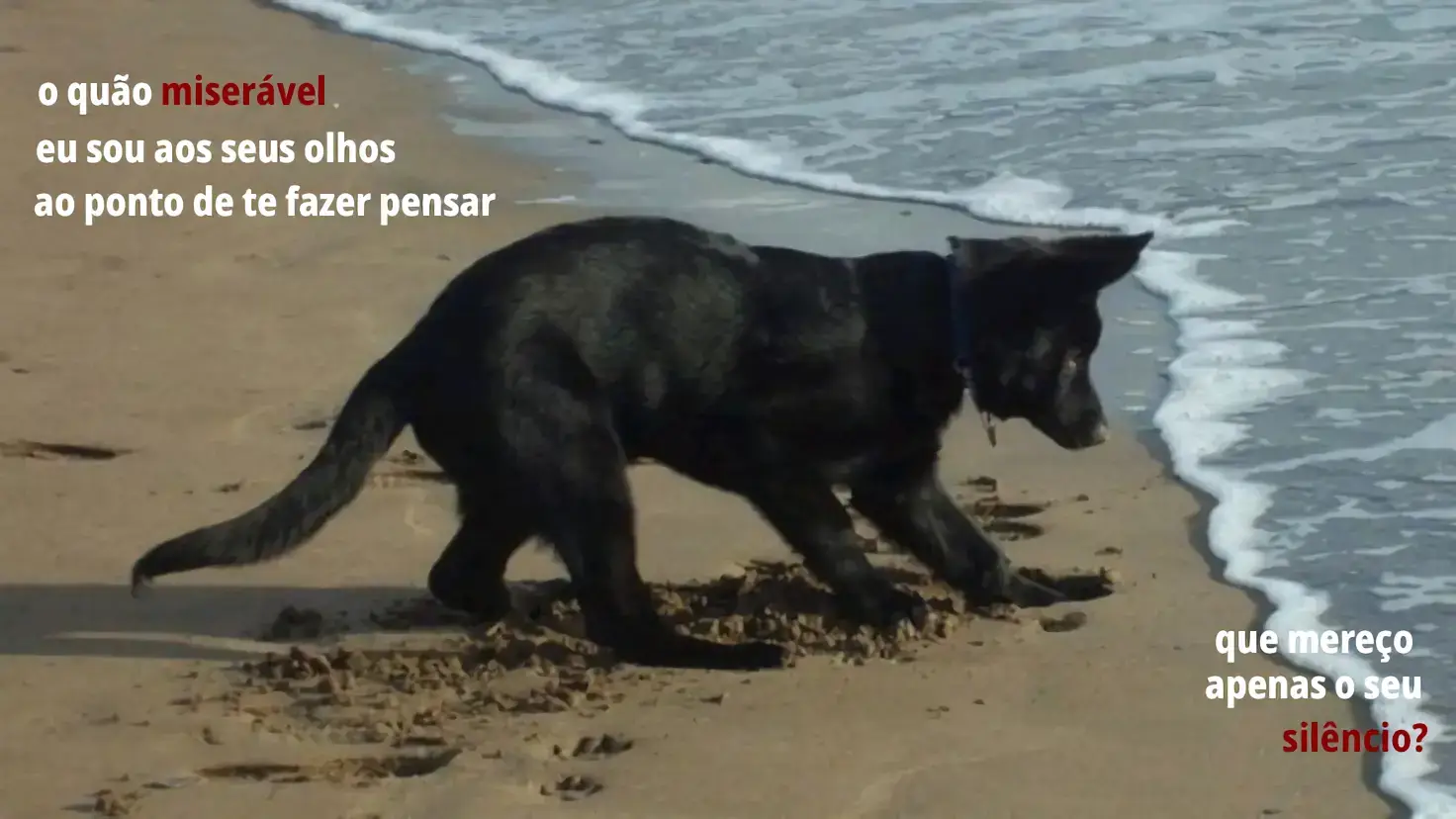 o silêncio dói mais do que um tapa. #real #dog #discomfortcore #fyp #foryoupage❤️❤️ 