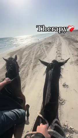 #خيل_وخياله🐎 #رولاايمن #مشاءالله_تبارك_الله #الاردن🇯🇴_فلسطين_🇵🇸_العراق🇮🇶_سوريا🇸🇾 #ترند_تيك_توك 