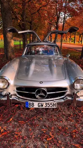 @bechtelclassicmotors. Ever stood before a Mercedes-Benz 300SL Gullwing and felt time stop? Born in the 1950s from the soul of a Le Mans race car, this machine defined speed and sophistication long before the supercar era began. Its 3.0L straight-six engine with direct fuel injection — a technology borrowed from fighter jets — made it the fastest production car of its time, capable of 260 km/h. Those iconic doors weren’t a design whim but a necessity born from its tubular space frame — pure engineering poetry. Celebrities and legends like Clark Gable and Sophia Loren owned one, and collectors today pay millions just to feel its heartbeat. The Gullwing isn’t just admired; it’s worshipped — a symbol of the moment when racing ambition and art met in perfect harmony. A timeless star that still makes modern exotics feel like apprentices. MercedesBenz, 300SLGullwing, ClassicCars, AutomotiveIcons, VintageLegends, DreamGarage, CollectorsCar, GermanEngineering, LuxuryPerformance, HistoricCars, TimelessBeauty, RetroMachines, RareFinds, LegendaryDesign, CarCulture, SpeedHeritage, AutomotiveArt, MillionDollarCars, CarCollectors, EngineeringMasterpiece ❗️ No copyright infringement intended. Please send a direct message for credits, modifications, or removal requests! #MercedesBenz #300SL #ClassicCars #CarCollectors #9Agency 