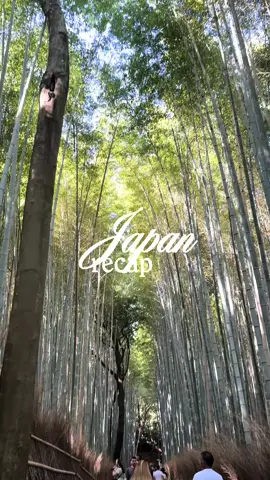 A dream  #japantiktok #japantrip #traveltokyo #traveljapan 