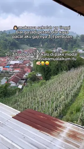 masih jauh ke waallaikumssalam😝😂🫵🏻#petaniindonesia🇮🇩🇮🇩🇮🇩🌿🌿 #petanimuda #PUTRATJ3FARM #fyppppppppppppppppppppppp #xybca 