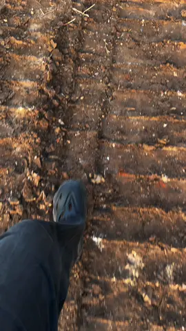 Masih di tanjung uma🤩 #sunset #pantai #batam #vibesbatam #fyppppppppppppppppppppppp 