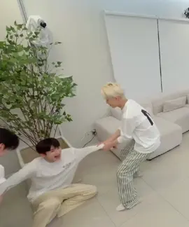sunoo😭😭🤣🤣 #sunoo #jungwon #ni_ki #sunghoon  #enhypen 