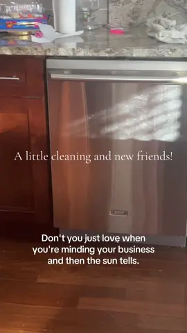 That sunshine will humble you quick! Let me know if you want a follow back! There’s room for everyone!! #cleaning #CleanTok 