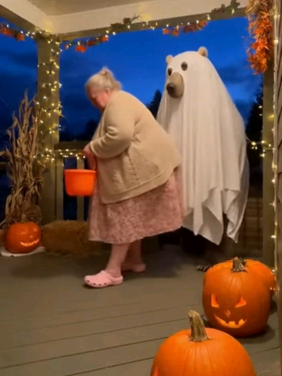 Trick or Treat 🎃👻 #grandma #bear #funny #fyp #halloween #trickortreat  #ghost  #fyppppppppppppppppppppppp #fart #teddy #teddybear 