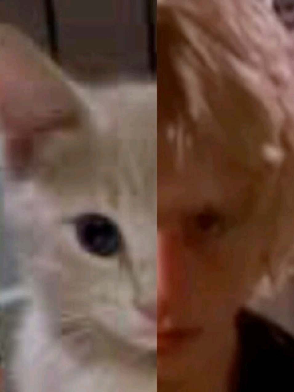 #ZERODAY #calvingabriel #рек #fyppppppppppppppppppppppp #zeroday2003 